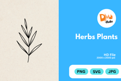 Herbs Plants illustration Product Image 1