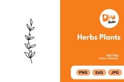 Herbs Plants illustration Product Image 1