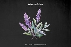 Watercolor medicine herbs clipart. Herb flower PNG Product Image 7