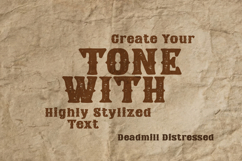 Rustic Western Heritage Font Duo Product Image 6