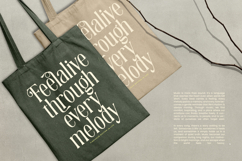 Heritage Milano - Vintage Modern Serif Display Font Product Image 8