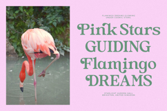 Heritale Aubrey - Bold Serif Display Product Image 6