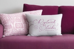 Herlina Aliyah - Stylish Calligraphy Font Product Image 7