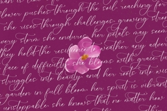 Herlina Aliyah - Stylish Calligraphy Font Product Image 12