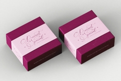 Herlina Aliyah - Stylish Calligraphy Font Product Image 16