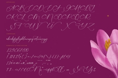 Herlina Aliyah - Stylish Calligraphy Font Product Image 18