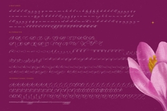 Herlina Aliyah - Stylish Calligraphy Font Product Image 19