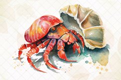 Hermit Crab Watercolor Sublimation Clipart Product Image 2