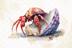 Hermit Crab Watercolor Sublimation Clipart Product Image 3