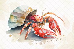 Hermit Crab Watercolor Sublimation Clipart Product Image 4