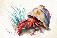 Hermit Crab Watercolor Sublimation Clipart Product Image 5