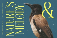 Heroic Brutal - Bold Tall Serif Display Font Product Image 4