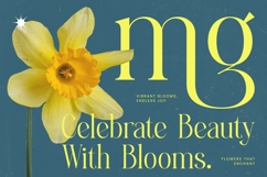 Heroic Brutal - Bold Tall Serif Display Font Product Image 6