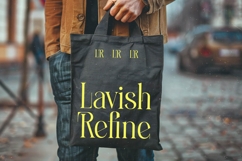 Heroic Brutal - Bold Tall Serif Display Font Product Image 9