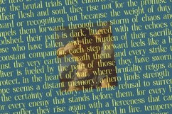 Heroic Brutal - Bold Tall Serif Display Font Product Image 17