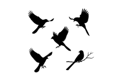 Black Bird Silhouettes Flying and Perched Vector Illustratio Product Image 1
