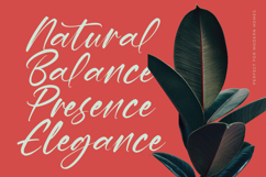 Hevling Justien Bold Brush Font Product Image 2