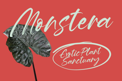 Hevling Justien Bold Brush Font Product Image 8