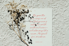 Hevling Justien Bold Brush Font Product Image 9