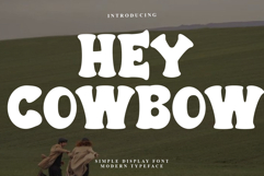 Hey Cowbow Product Image 1