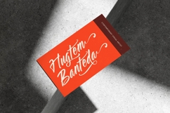Heyday Gustine - Modern Brush Font Product Image 10