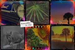 Old Film Textures PNG Transparent Overlays Set Product Image 3