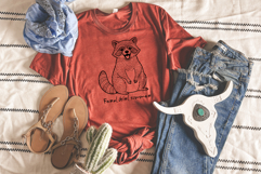 Raccoons SVG Craft Files for Cricut, Sublimation, More Product Image 6