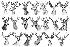 Christmas Reindeer PNG Portraits Sublimation Illustrations Product Image 1