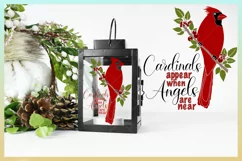 Harbor Grace Designs - This is a digital download for Cardinals Appear Memorial SVG - Christmas Cardinal Quote  SVG - a bundle of exclusive designs by Harbor Grace Designs. Files from Harbor Grace Designs will work with all major cutting and design progra