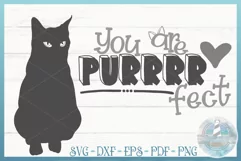 You Are Purrrr fect Funny Cat Quote SVG - Purfect Perfect Product Image 1