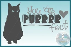 You Are Purrrr fect Funny Cat Quote SVG - Purfect Perfect Product Image 2