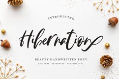 Hibernation - Handwritten Font Product Image 1