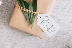 Hideaway Camphions - Modern Handwritten Script Product Image 3