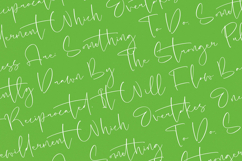 Hideaway Camphions - Modern Handwritten Script Product Image 9