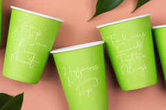 Hideaway Camphions - Modern Handwritten Script Product Image 13