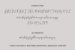 High Street Script Product Image 10