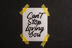 Highlag Theflora Modern Brush Font Type Product Image 9