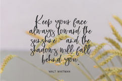 Highlight Script Product Image 2