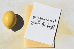 Highlight Script Product Image 3