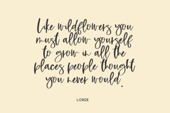 Highlight Script Product Image 4