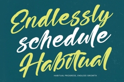 Higten Wasted - Bold Handwritten Font Product Image 14