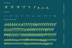 Higten Wasted - Bold Handwritten Font Product Image 19