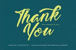 Higten Wasted - Bold Handwritten Font Product Image 20