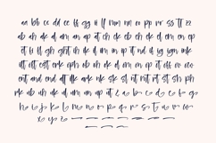 Hilarity Broadcast - Bold Handwritten Script Product Image 13