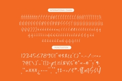 Hilarity Broadcast - Bold Handwritten Script Product Image 14