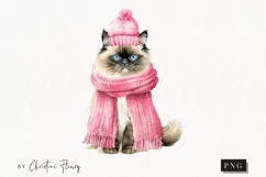 Valentine Himalayan Cat PNG | Valentine's Day Clipart Product Image 1