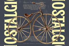 Historic Mystique - Modern Display Serif Typeface Product Image 3