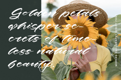 History Kindes - Modern Calligraphy Script Font Product Image 17