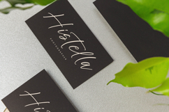 History Postime Modern Script Font Product Image 7