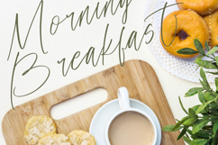 History Postime Modern Script Font Product Image 14